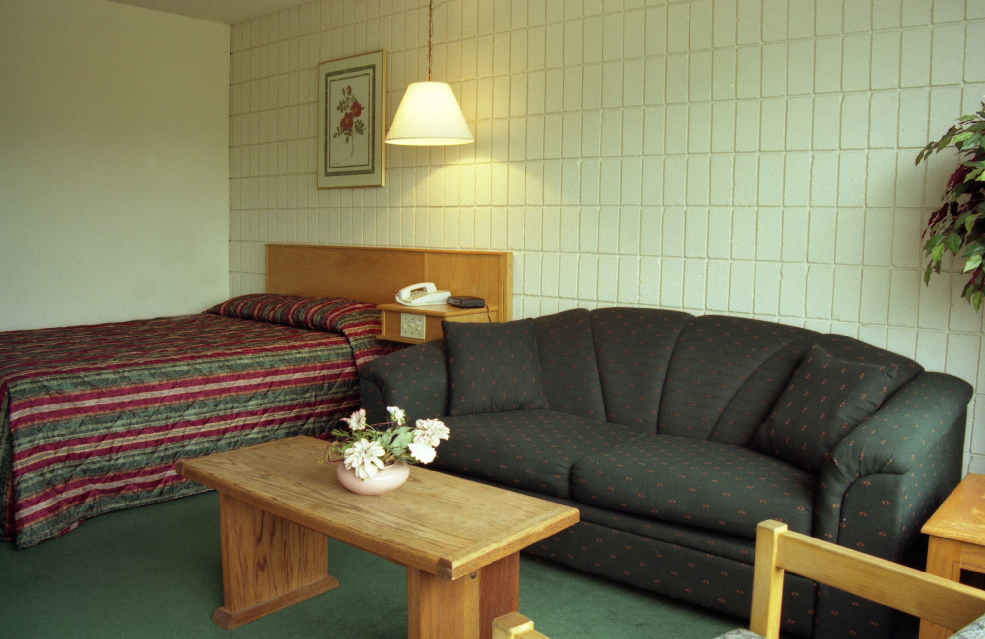 Sandman Hotel Castlegar Værelse billede